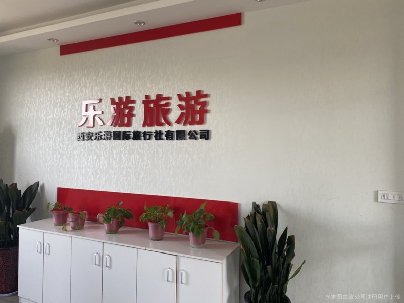 跟团游热度持续攀升：旅行新风尚来袭